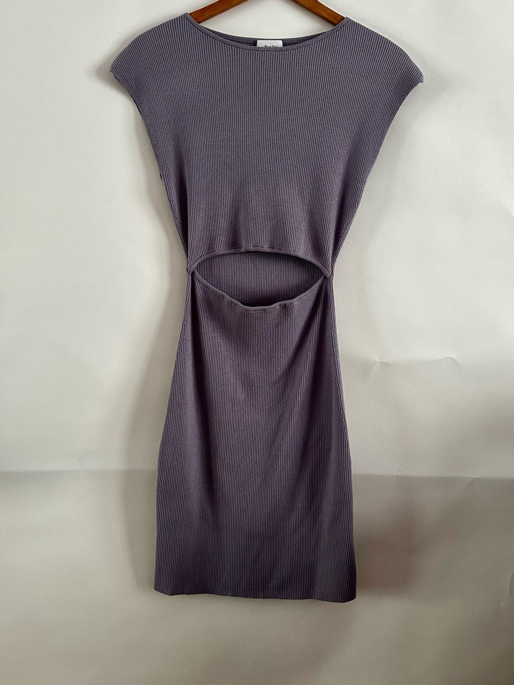 Aritzia Wilfred Free Cut-Out Knit Mini Dress Mauve S